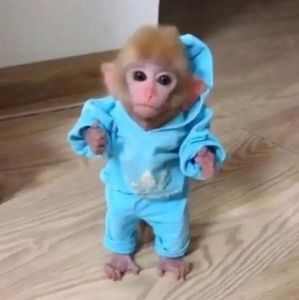 Meet your Posher, Uganda